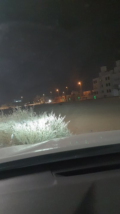 مشاركاتي في أنت الراصد