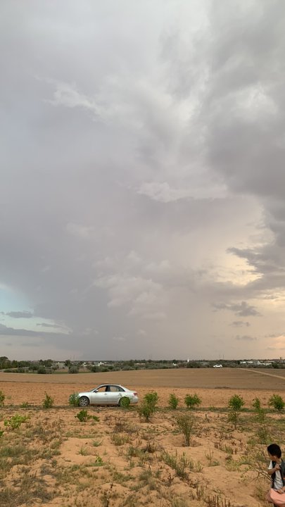 مشاركاتي في أنت الراصد