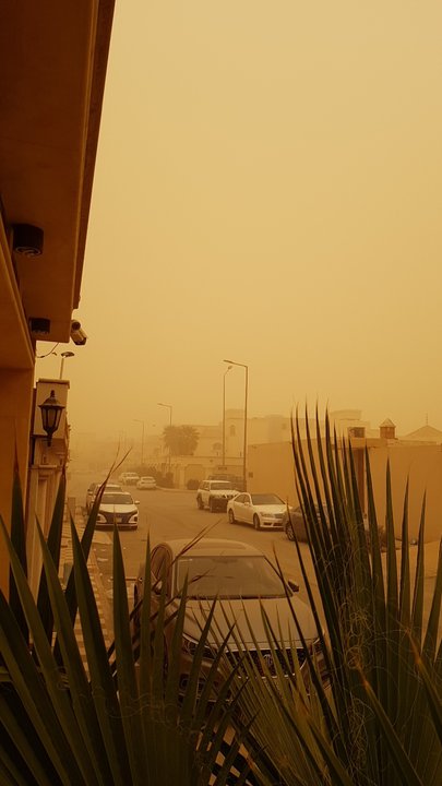 مشاركاتي في أنت الراصد