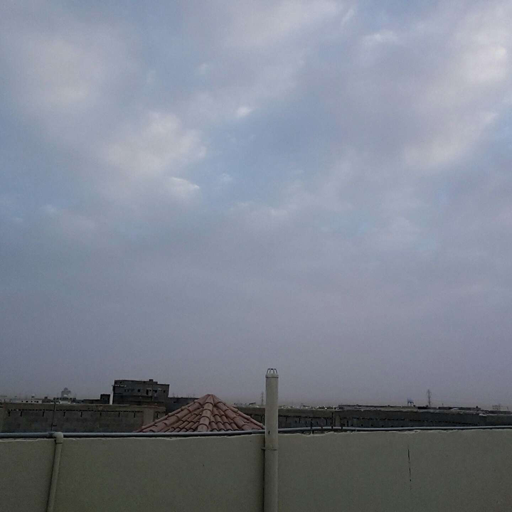 مشاركاتي في أنت الراصد