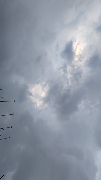 Mes publications Crowdsourcing