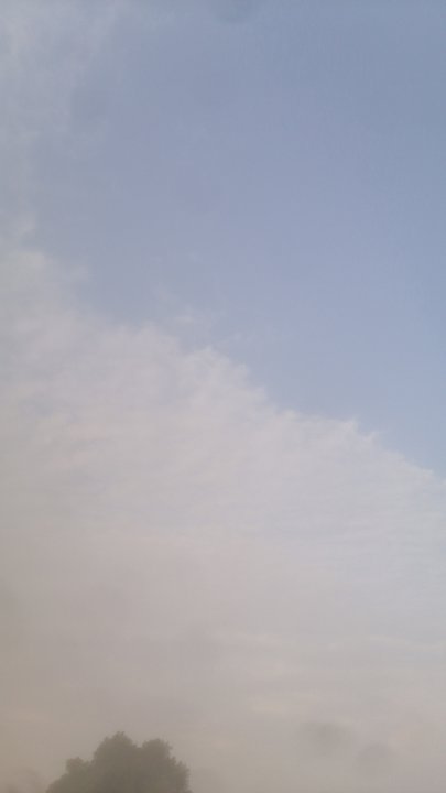 مشاركاتي في أنت الراصد