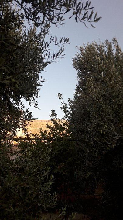 My Crowdsourcing Posts