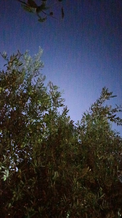 مشاركاتي في أنت الراصد