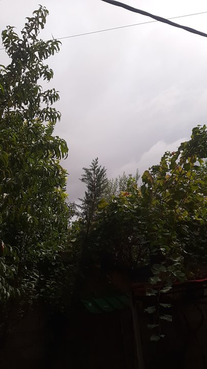 My Crowdsourcing Posts