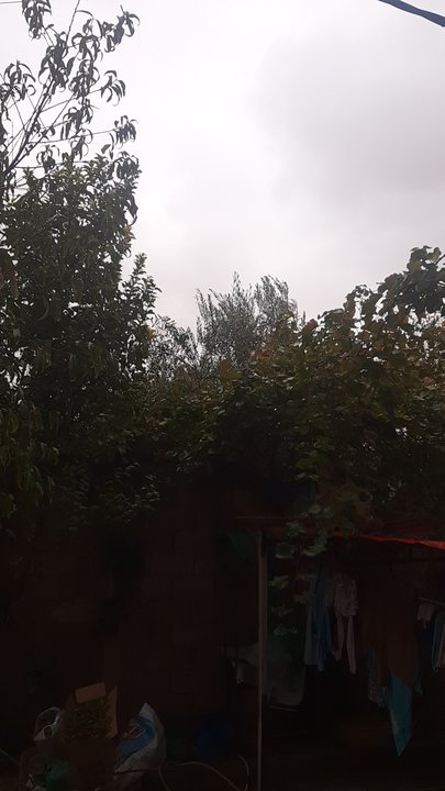 مشاركاتي في أنت الراصد