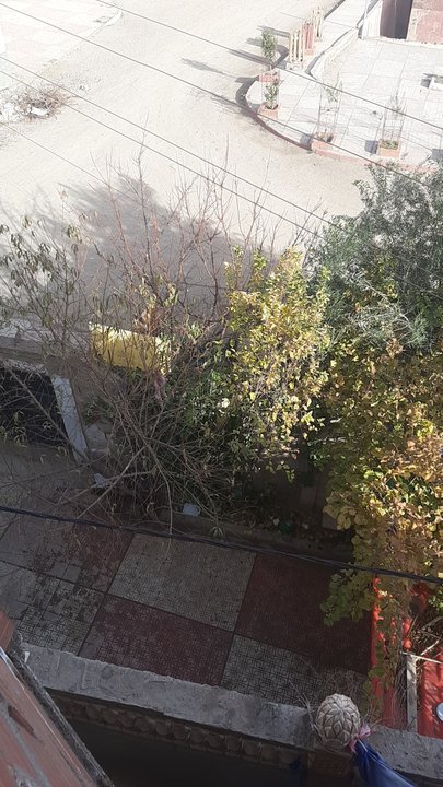 مشاركاتي في أنت الراصد