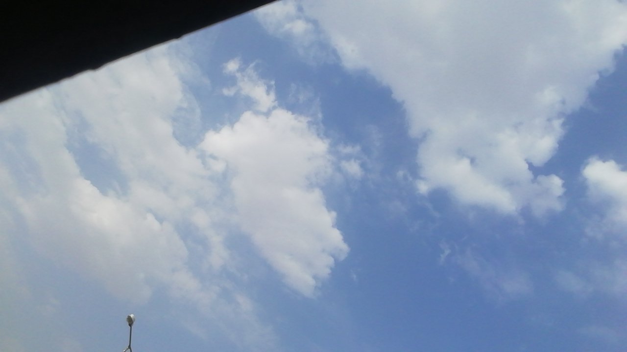 مشاركاتي في أنت الراصد