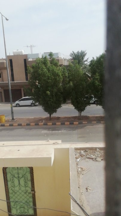 مشاركاتي في أنت الراصد