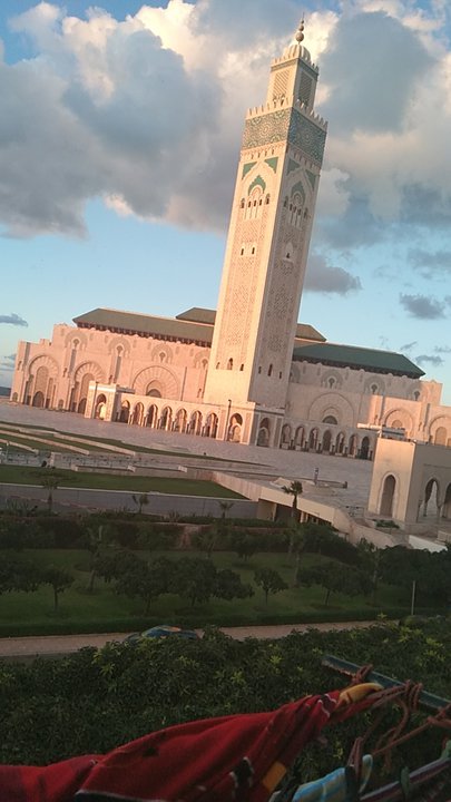 مشاركاتي في أنت الراصد