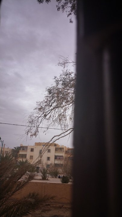 مشاركاتي في أنت الراصد