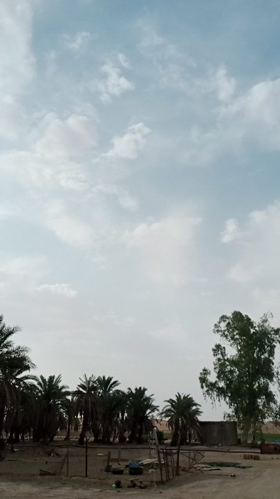 مشاركاتي في أنت الراصد