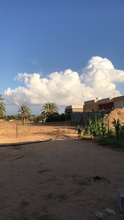 مشاركاتي في أنت الراصد