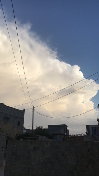 مشاركاتي في أنت الراصد