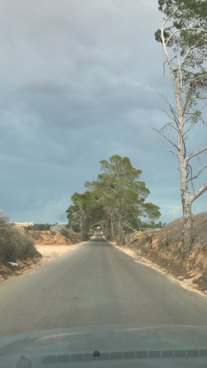 مشاركاتي في أنت الراصد