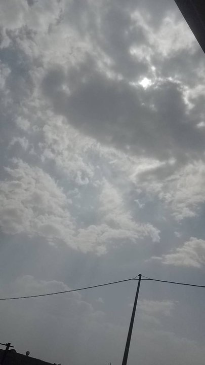 مشاركاتي في أنت الراصد