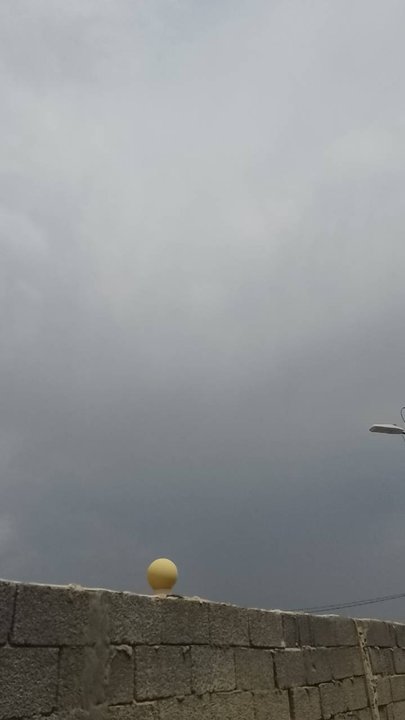 مشاركاتي في أنت الراصد