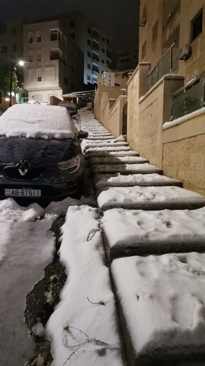 مشاركاتي في أنت الراصد