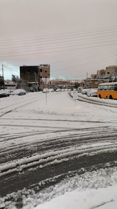 مشاركاتي في أنت الراصد