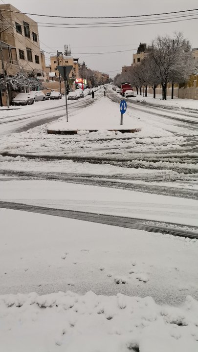 مشاركاتي في أنت الراصد