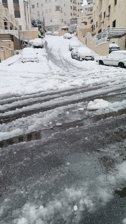 مشاركاتي في أنت الراصد