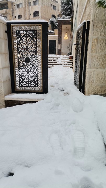 مشاركاتي في أنت الراصد