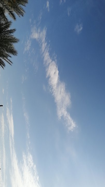 مشاركاتي في أنت الراصد
