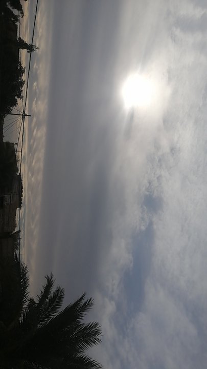 مشاركاتي في أنت الراصد