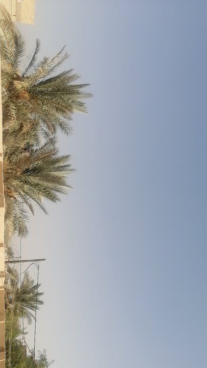 My Crowdsourcing Posts