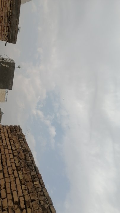 مشاركاتي في أنت الراصد
