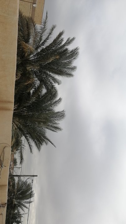 مشاركاتي في أنت الراصد