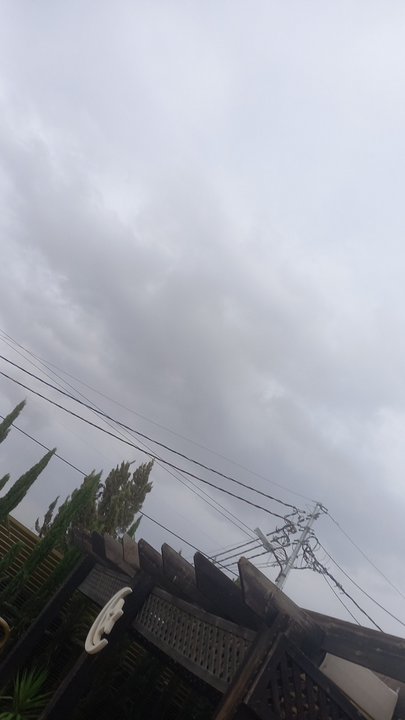 مشاركاتي في أنت الراصد