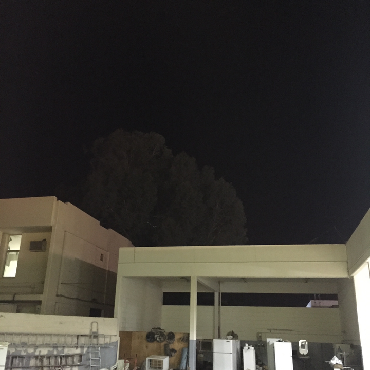 مشاركاتي في أنت الراصد