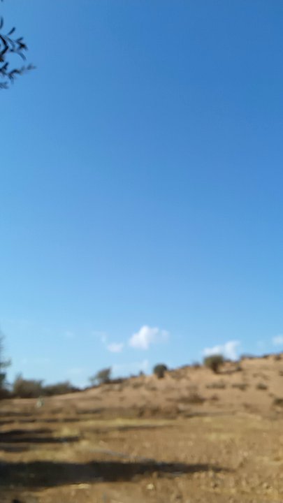 My Crowdsourcing Posts