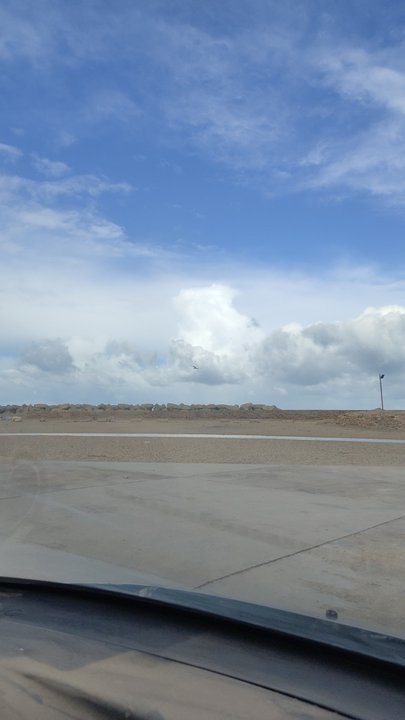 مشاركاتي في أنت الراصد