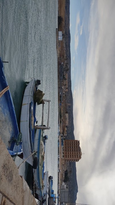 مشاركاتي في أنت الراصد