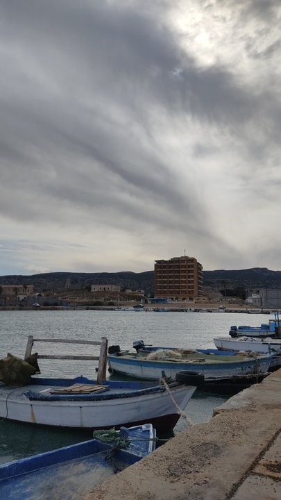 مشاركاتي في أنت الراصد