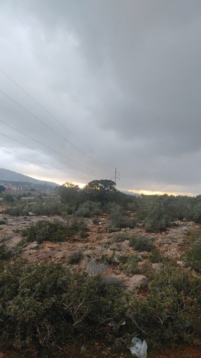 مشاركاتي في أنت الراصد