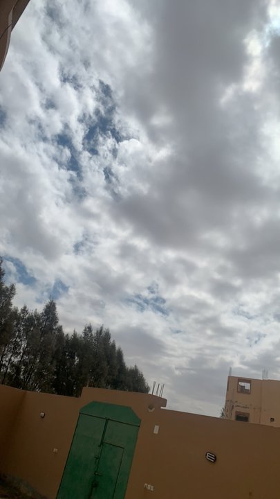 مشاركاتي في أنت الراصد