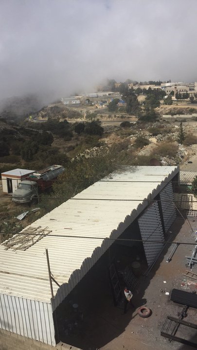 مشاركاتي في أنت الراصد