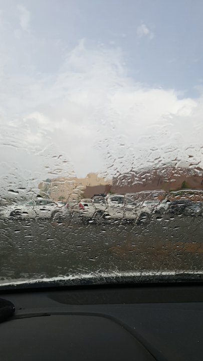 مشاركاتي في أنت الراصد