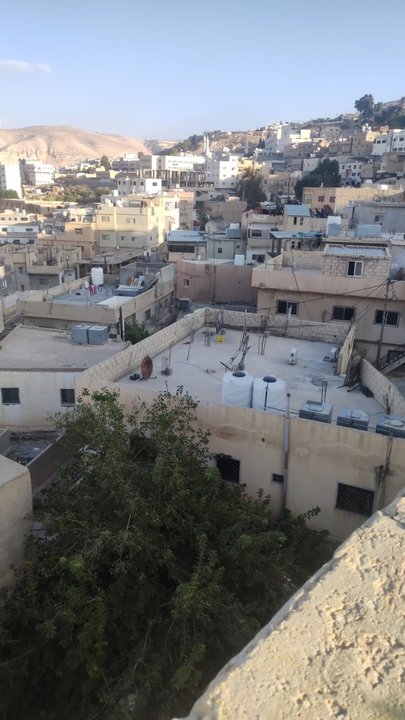 مشاركاتي في أنت الراصد