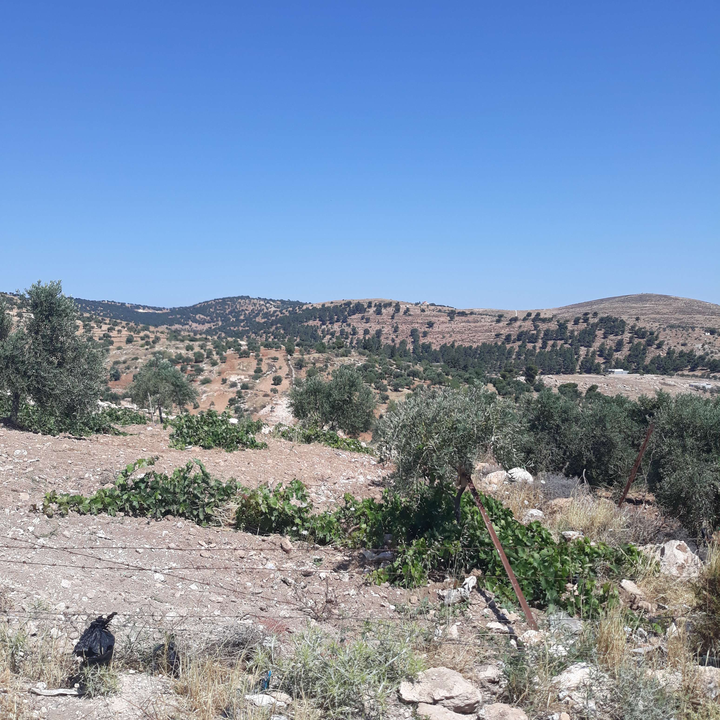 My Crowdsourcing Posts