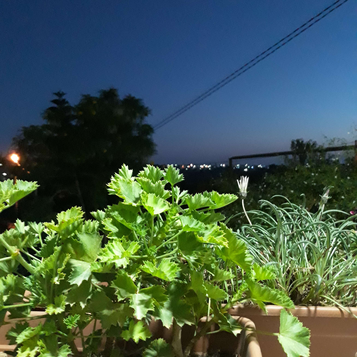 My Crowdsourcing Posts