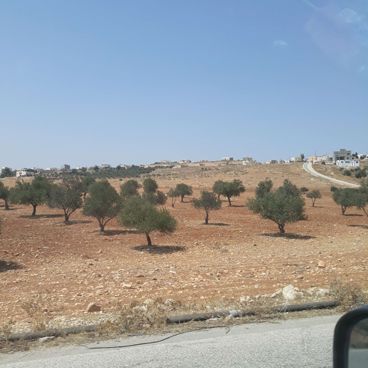 My Crowdsourcing Posts