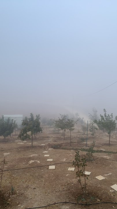 مشاركاتي في أنت الراصد