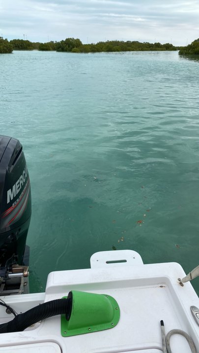 My Crowdsourcing Posts