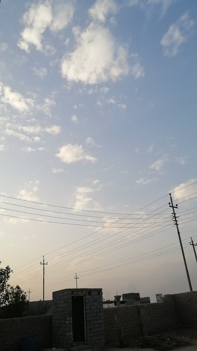 مشاركاتي في أنت الراصد