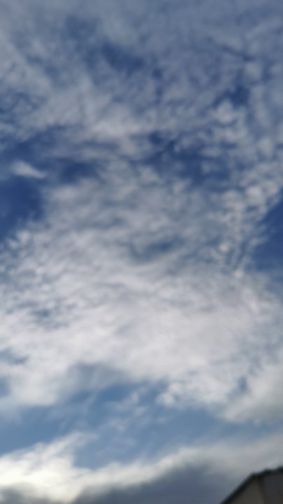 مشاركاتي في أنت الراصد