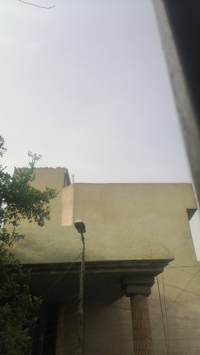 مشاركاتي في أنت الراصد